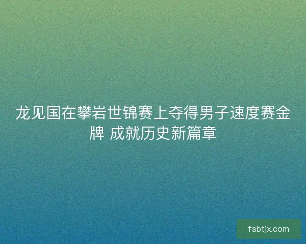 龙见国在攀岩世锦赛上夺得男子速度赛金牌 成就历史新篇章