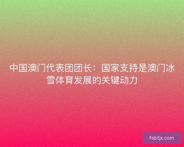 中国澳门代表团团长：国家支持是澳门冰雪体育发展的关键动力